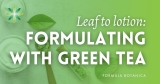 Leaf to Lotion: the benefits of green tea in cosmetics