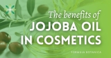 Jojoba: Unlocking its benefits in Cosmetic Formulations