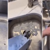 Viral TikTok Ice and Dish Soap Garbage Disposal Hack