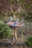 19 Fun and Easy DIY Birdbath Ideas