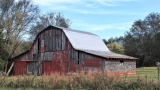 Barn Wood Beauty: 15 Rustic Revival Ideas!